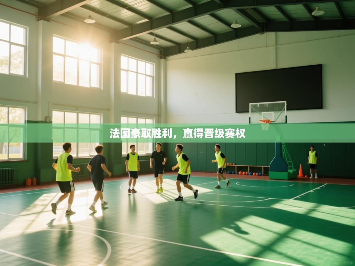 法国豪取胜利，赢得晋级赛权  第1张