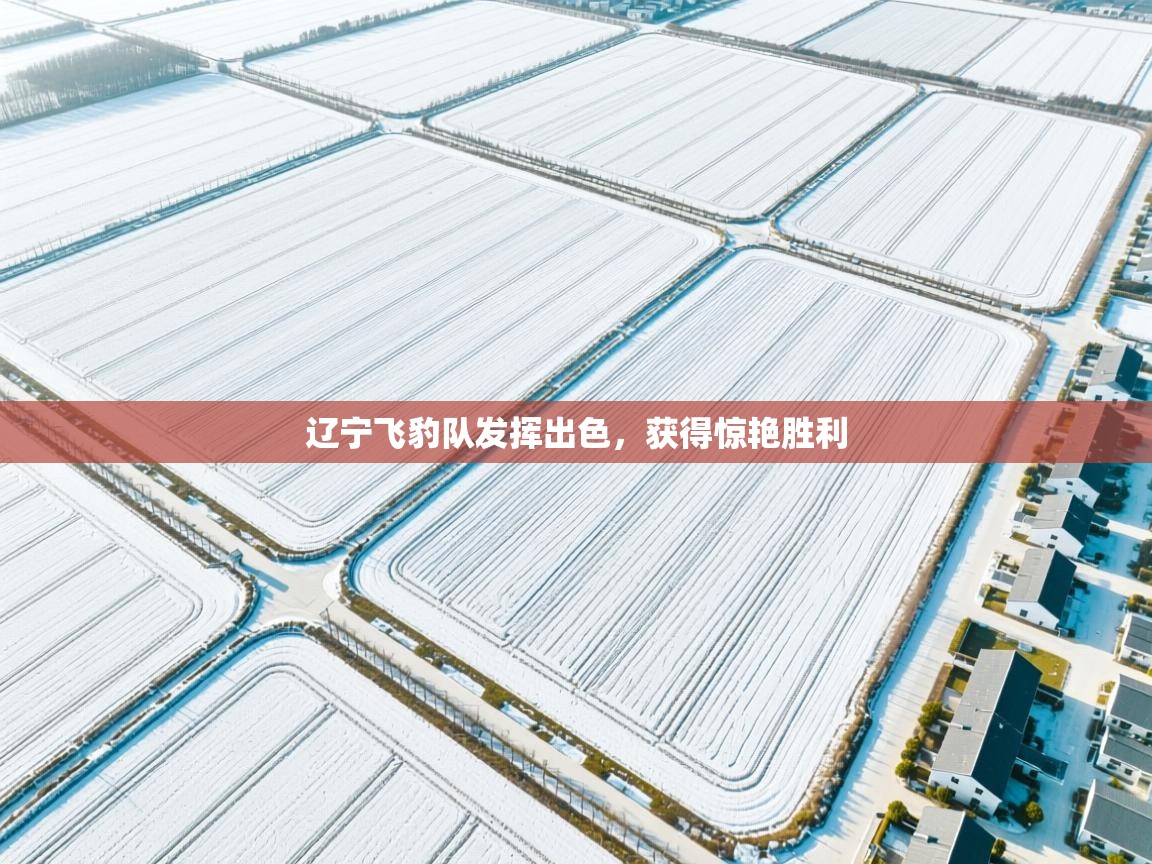 辽宁飞豹队发挥出色,获得惊艳胜利 第1张