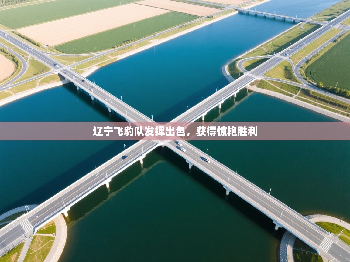 辽宁飞豹队发挥出色,获得惊艳胜利 第2张