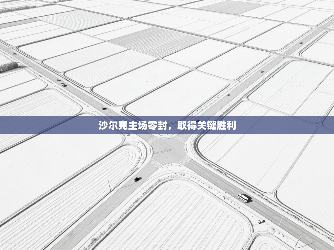 沙尔克主场零封，取得关键胜利  第1张