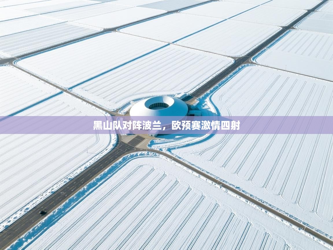 黑山队对阵波兰,欧预赛激情四射 第1张