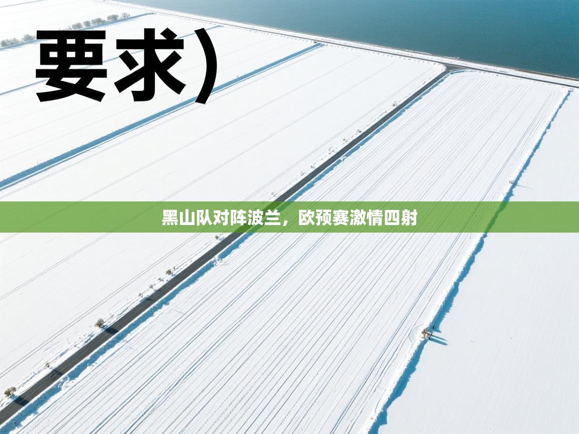 黑山队对阵波兰,欧预赛激情四射 第2张