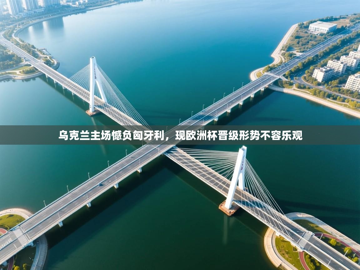 乌克兰主场憾负匈牙利，现欧洲杯晋级形势不容乐观  第1张